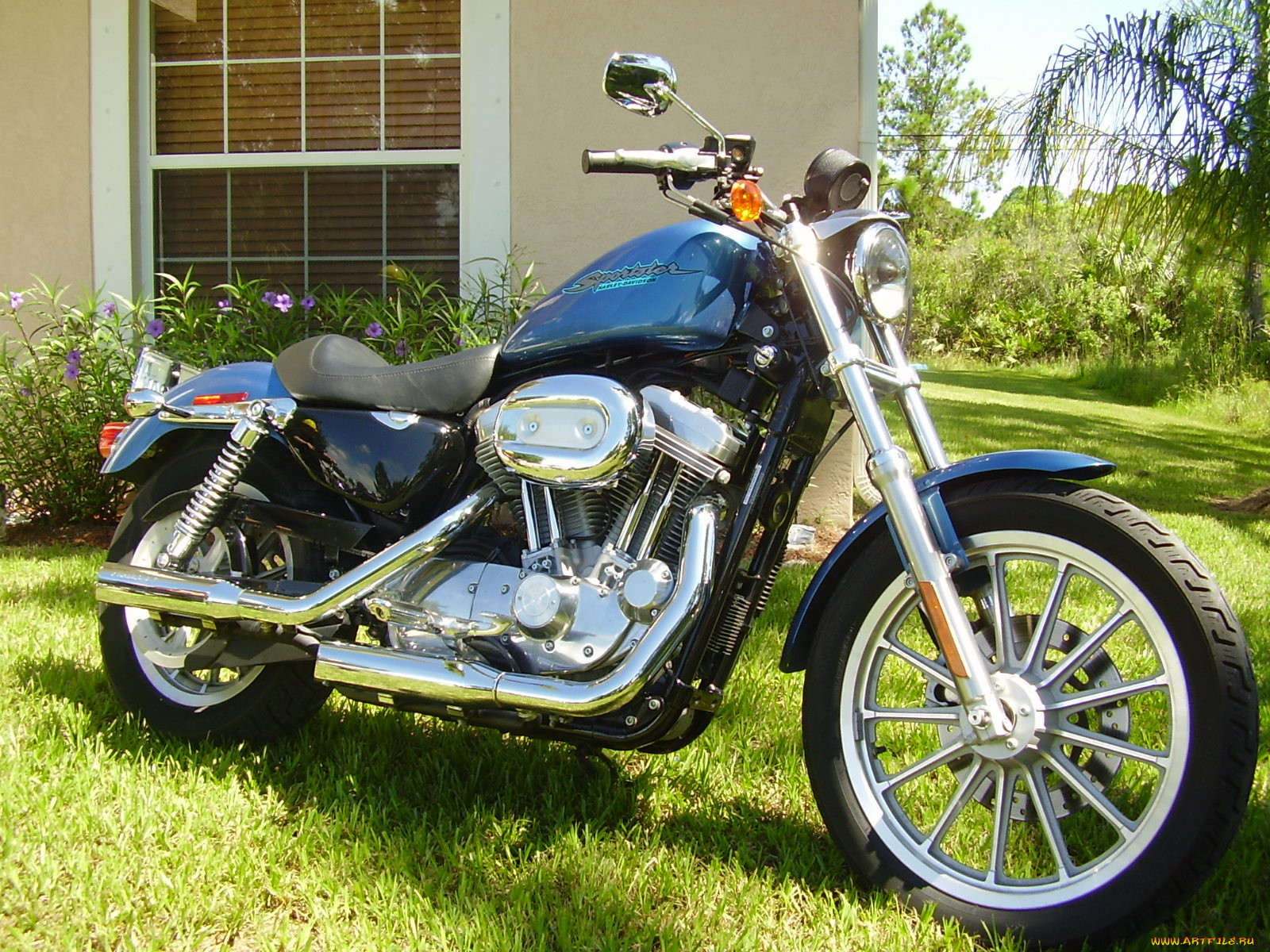 , harley, davidson, sportster